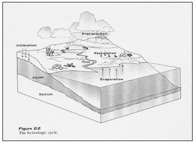 hydrologic cycle